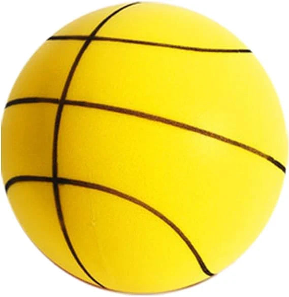 silent basketball - photo 4