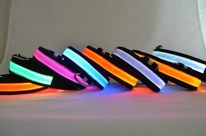 LED light up dog collar - photo 3