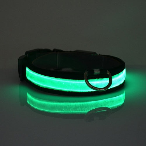 LED light up dog collar - photo 5