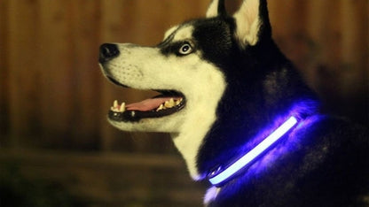 LED light up dog collar - photo 2