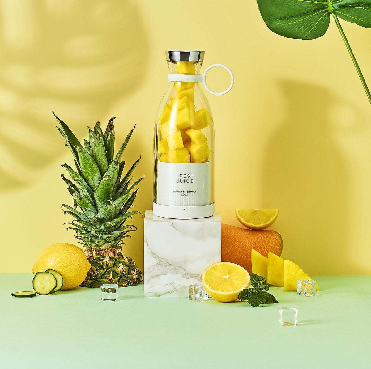 blender bottle