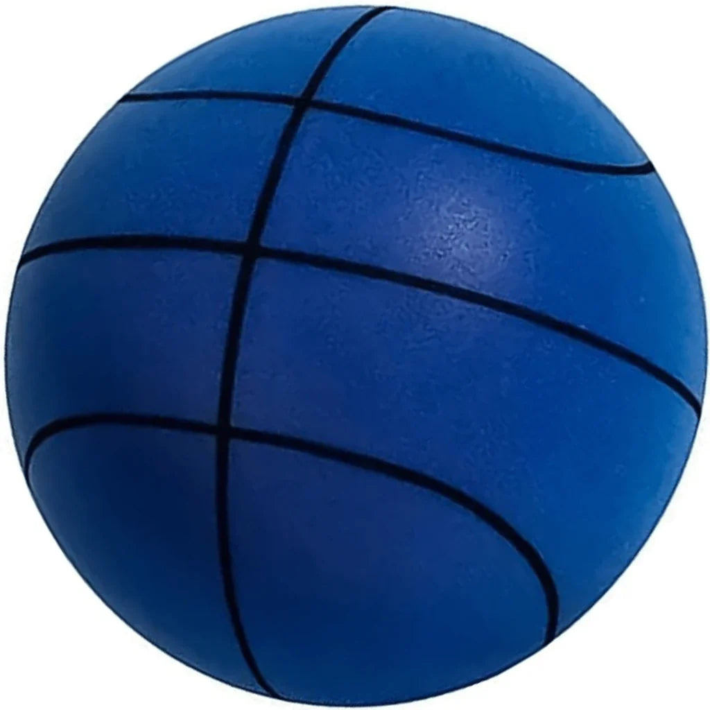 silent basketball - photo 3