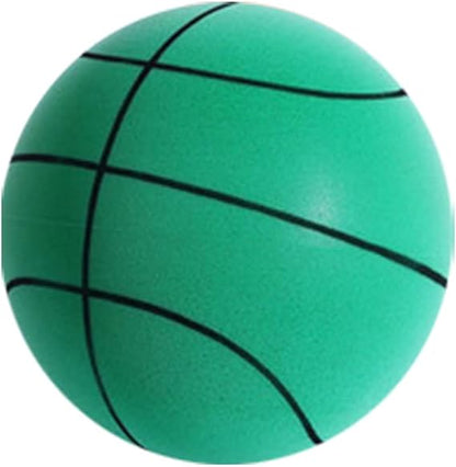 silent basketball - photo 2